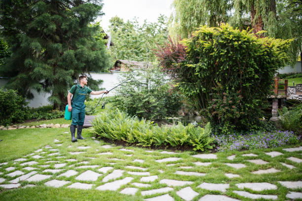 Best Affordable Pest Control Services  in Highland City, FL