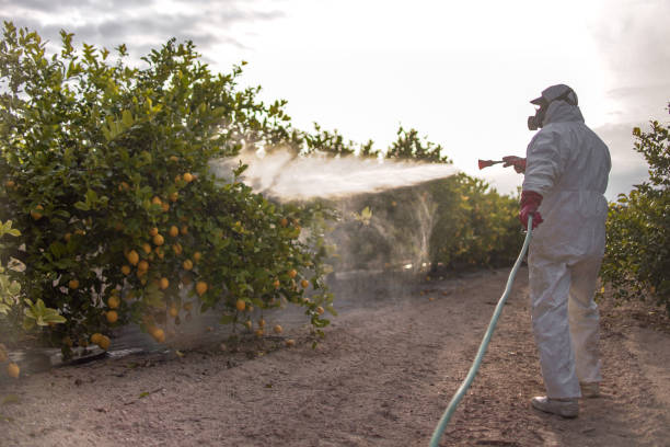 Best Pest Prevention Services  in Highland City, FL