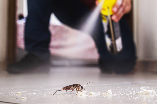 Best Pest Control Near Me  in Highland City, FL