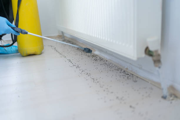Highland City, FL Pest Control Company