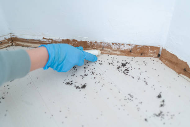 Best Commercial Pest Control Services  in Highland City, FL